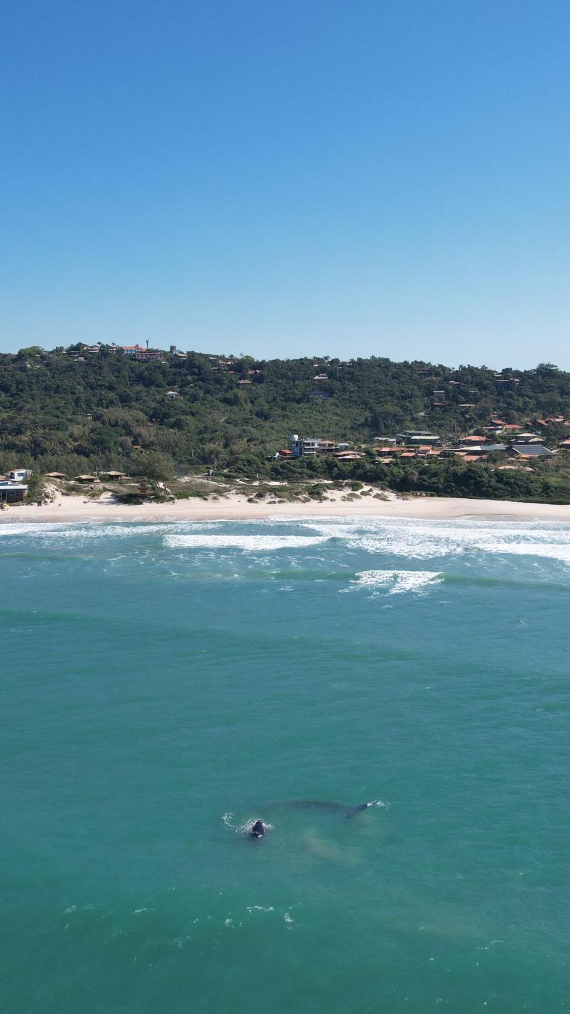 Casa Oceano Praia Do Rosa, Apartamentos Pe Na Areia, Praia Do Rosa Extérieur photo
